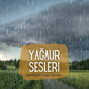 Ders Çalışmak Için Yağmur Sesi