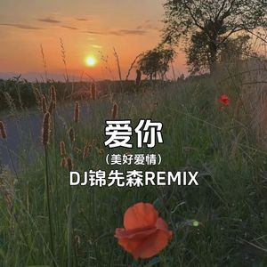 爱你(美好爱情)（锦先森 ）