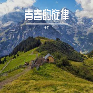 盛满月色凉