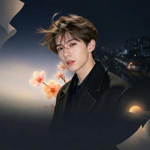 ស្រមោលផ្លូវឆ្ងាយ