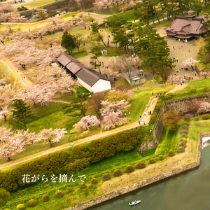 花がらを摘んで 〜弾き語り.ver〜