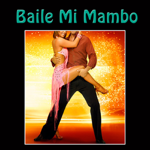 Belingonero Flamenco