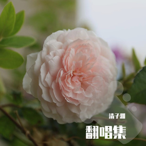 热爱(Adapted in F Major)