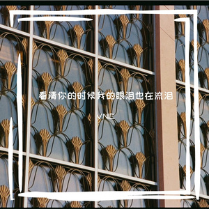 看清你的时候我的眼泪也在流泪