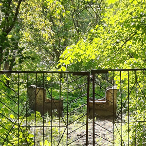 Cтрадания как смысл жизни или как защитить попу от комаров