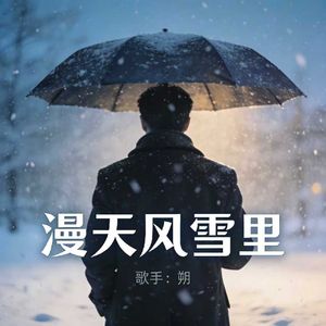漫天风雪里