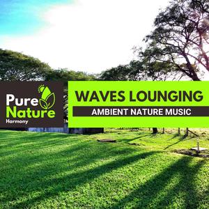 Sweet Sounds of the Brown Thrasher