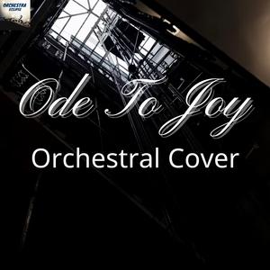 The Symphony No. 9 in D minor, Op. 125, "Ode to Joy": IV. Finale