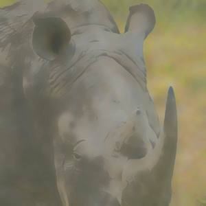 What Shall Nikki Adams Delivereth Me This Day? (or: How the Dead Saved the Whole World From MF Horn)