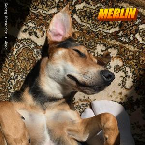 Merlin (feat. Avec)