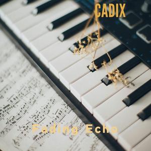 Fading Echo
