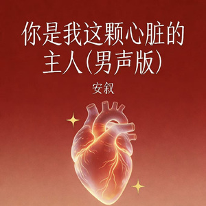 你是我这颗心脏的主人（男声版）