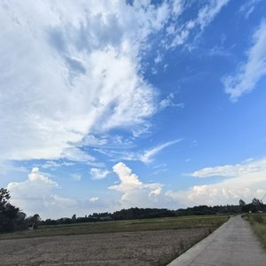 再少年