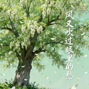 风又吹过眼里的愁 (释怀版)  (Remix)