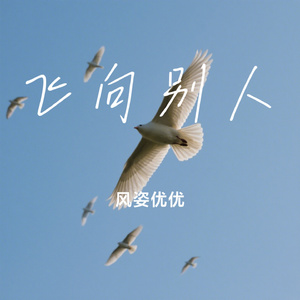 飞向别人