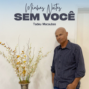 Minhas Noites Sem Você