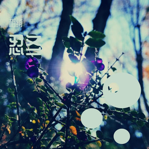 爱的沙漏（Demo）live