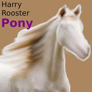 Pony