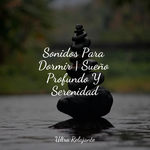 Escribiendo Al Atardecer