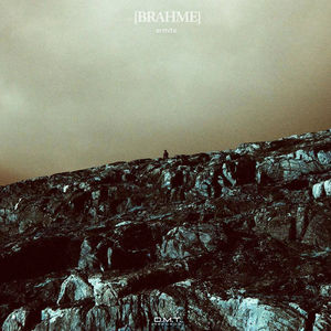 La bête (Original Mix)