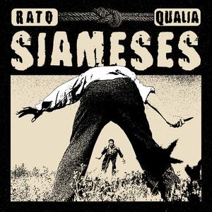 Siameses