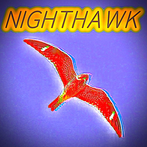 nighthawk