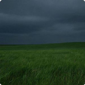 Что тебя тревожит?