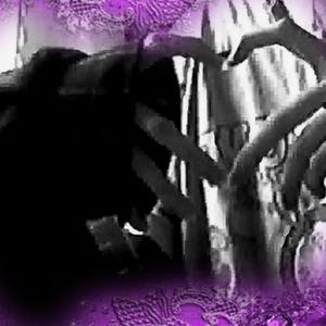 fell in love (feat. xokimono)