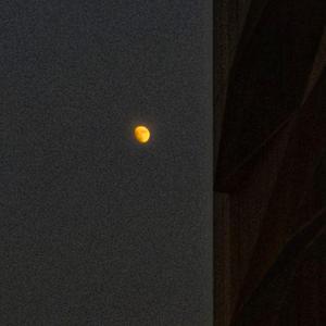 最后的晚安（翻自 陈近南）