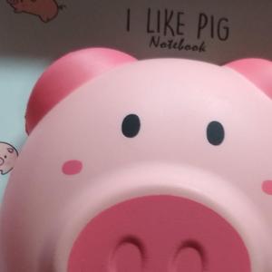 乳酸菌口味的根芽（Prod.CDY）