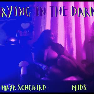 Crying in the Dark (feat. MIDS)