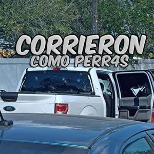 Corrieron Como Perr4s