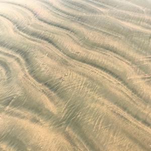 Waves