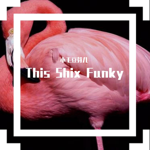 This Shix Funky
