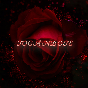 Tocandote