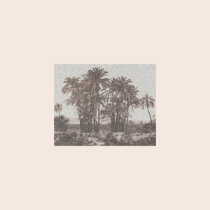 At Data Point (Colossal Squid Live Remix)