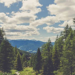 普龙茶纯音乐 -钢琴