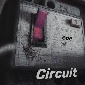 Circuit