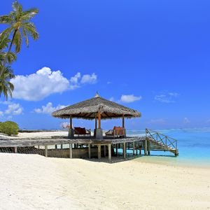 舒缓琴音与白噪伴你入眠