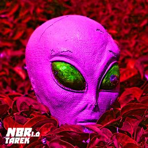 NBR 1.0