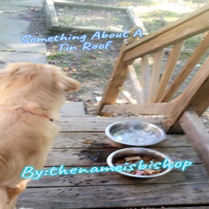 Something About A Tin Roof