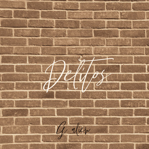 Delitos