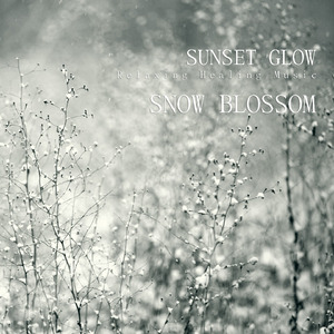 Snow Blossom