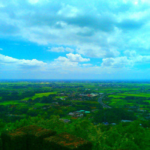 Late Bloom -あした咲く花-