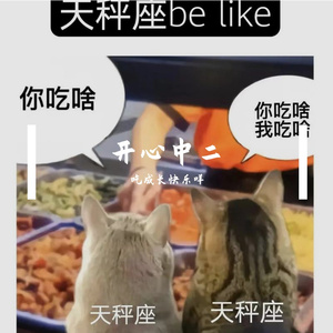 崽崽－阳光彩虹小白马