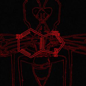 CULTist