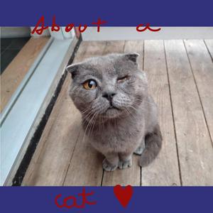 courage in the clash