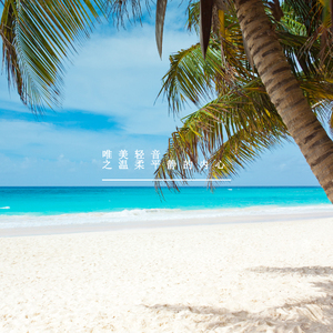 明媚的温柔时光 (治愈钢琴曲)