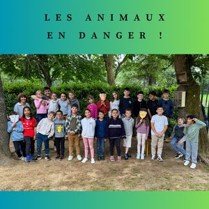 Les animaux en danger !
