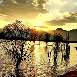 硬币买不回瞬间